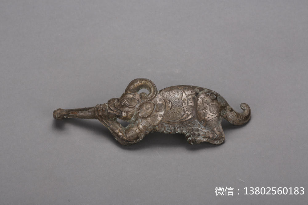 盘点那些大型萌宠的可爱瞬间,盘点这五个萌宠你觉得哪个最可爱