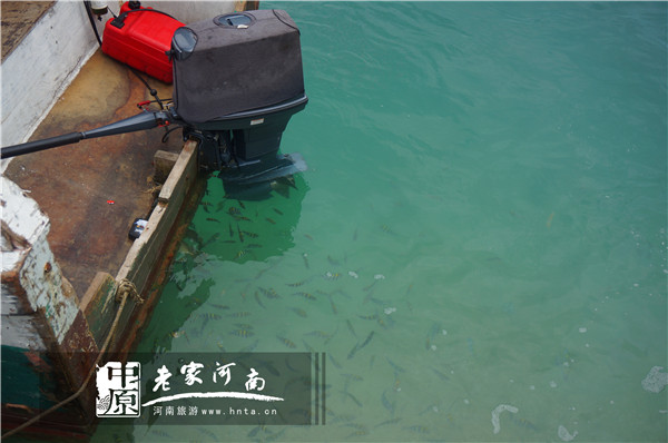 玩美假期马来西亚旅游,六日沙巴自由行攻略