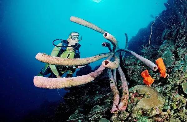 图兰奔潜水——探秘二战沉船体验