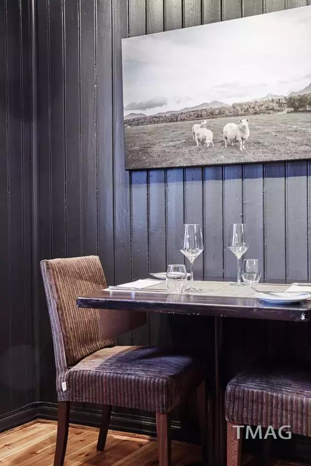 北欧看鲸鱼极光,看极光追逐鲸鱼