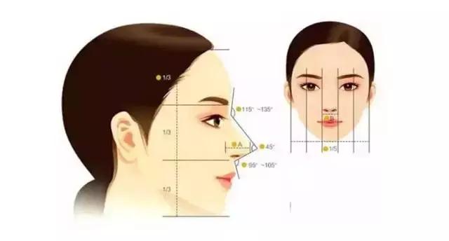 脸部扁平鼻子高挺,高挺的鼻型图片