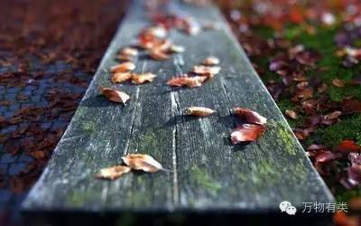 教你如何撩妹,如何正确撩妹