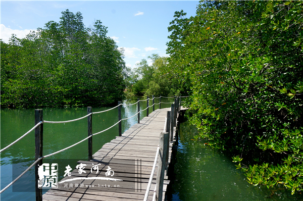 沙巴蜜月七日游推荐,完美假期泰国游青春版