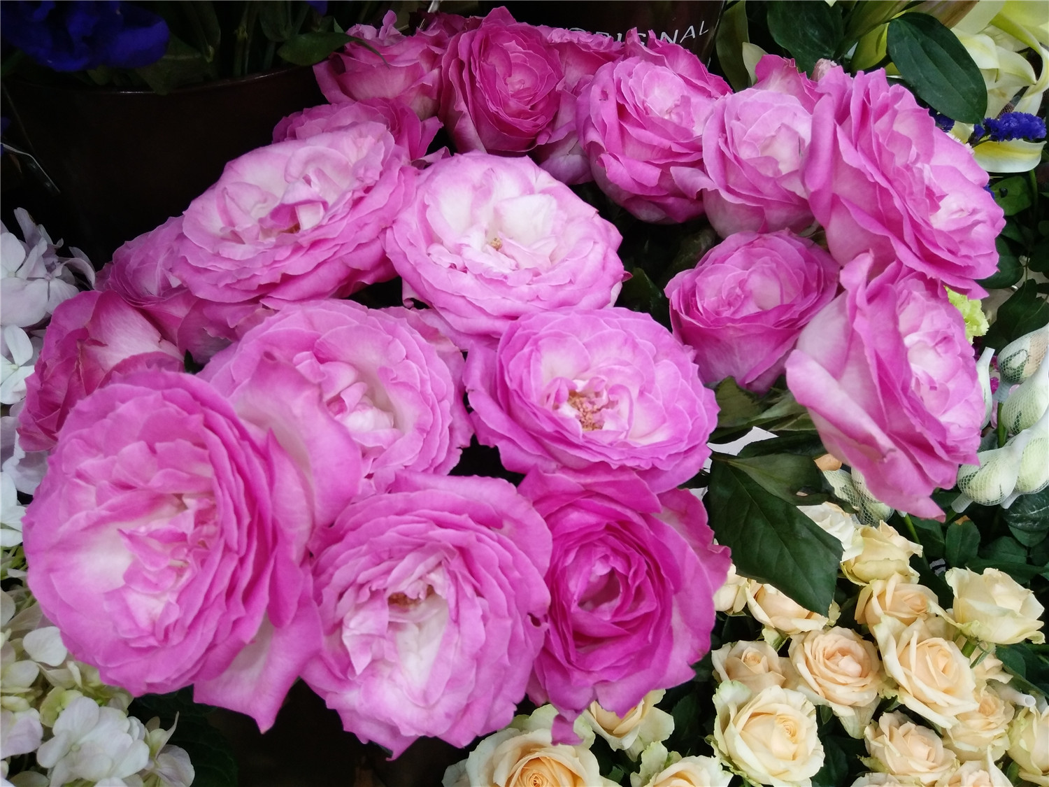 vivox7流光自拍照亮你的美,vivox7王者体验