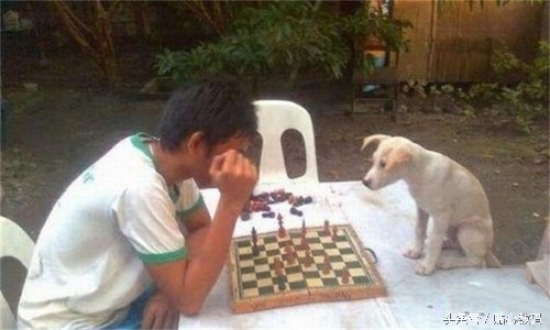 会踢球的男人,踢球的男生值得珍惜