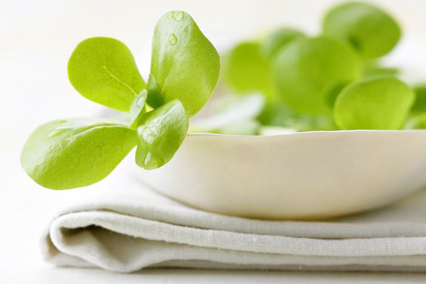 作用于肠道的抗生素,对肠道很有用的药