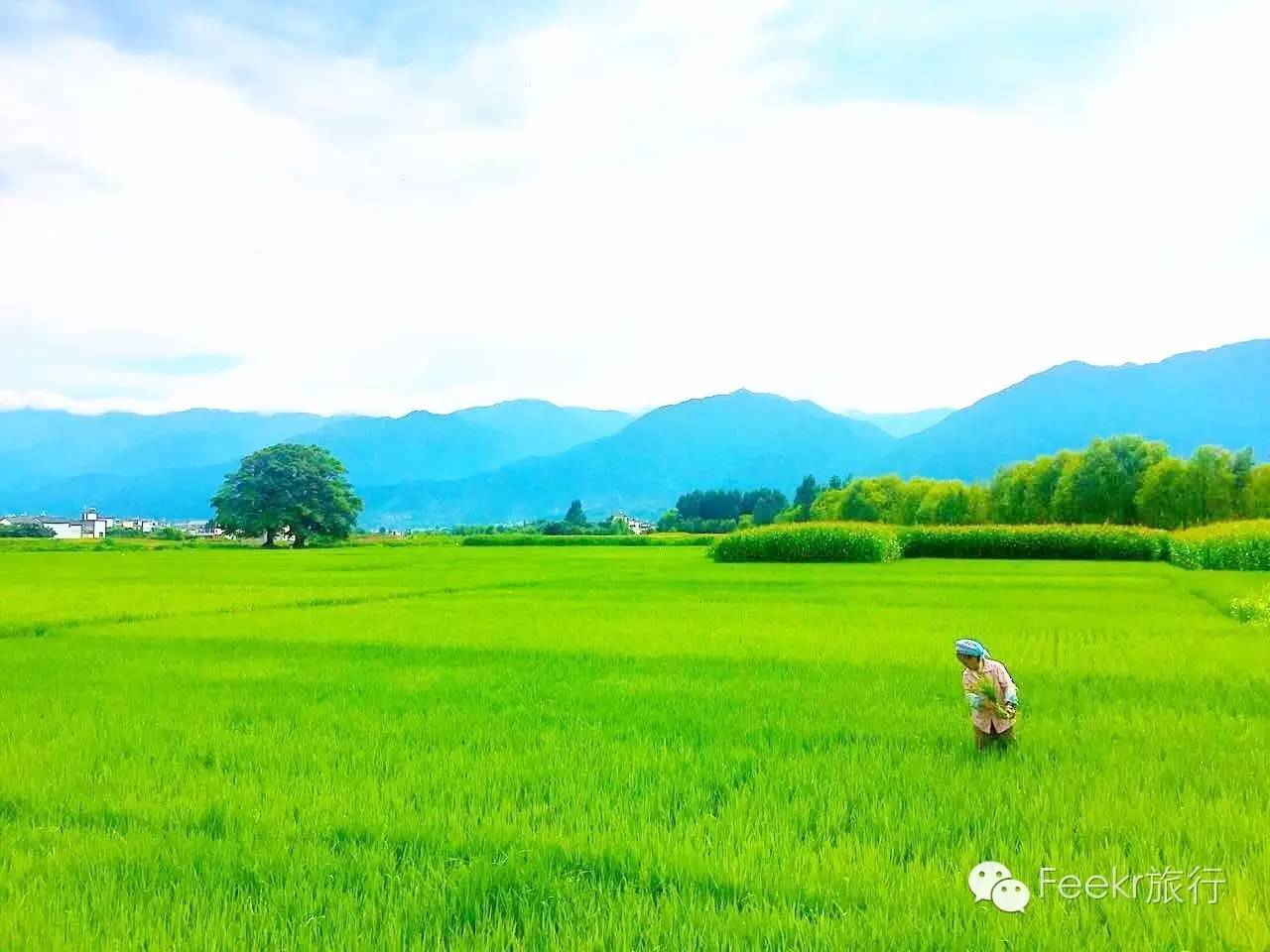 大理丽江5天4晚旅游攻略自驾游,大理丽江5日自驾游详细攻略