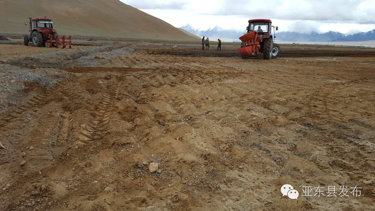 本周回顾总结,本周回顾怎么写