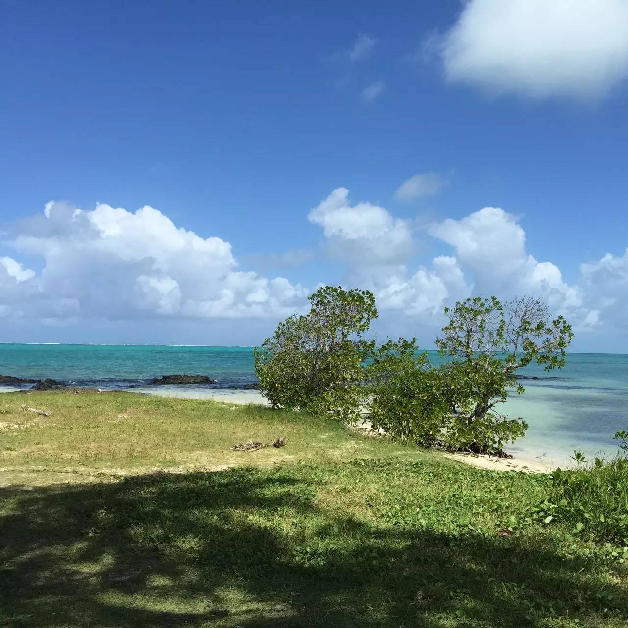 用耳朵旅行的财经主播Nina|全球空气质量最佳的天堂国度毛里求斯