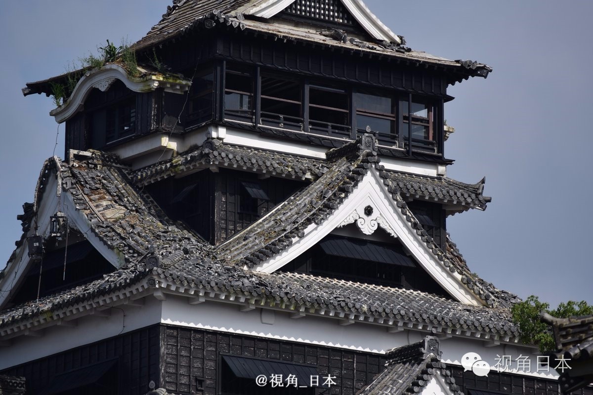 三鹰之森吉卜力美术馆到成田机场,三鹰之森吉卜力美术馆闭馆时间