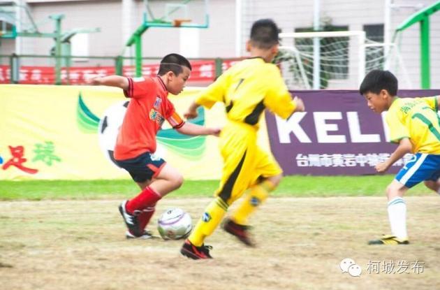 不得了!柯城这群绿荫小将拿了全省冠军!