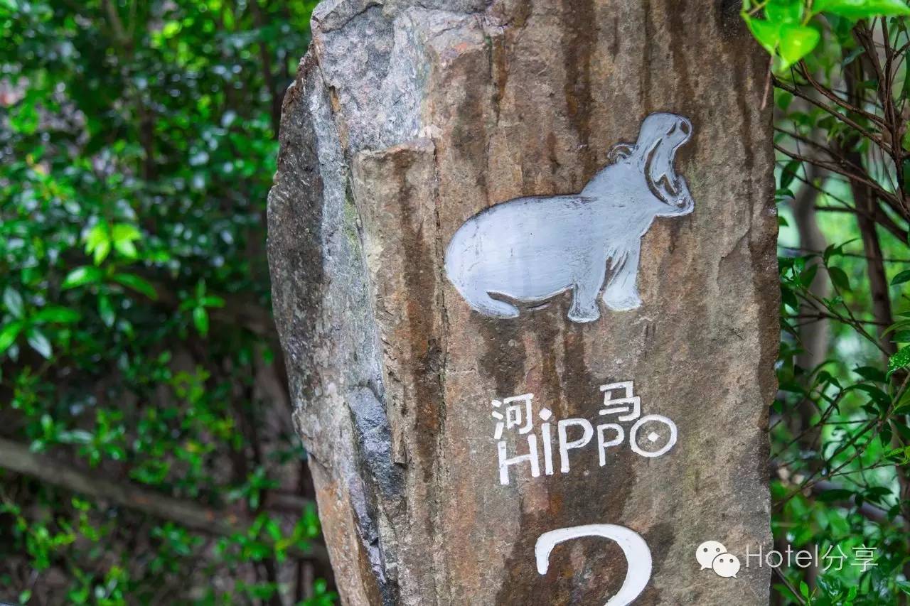 莫干山裸心谷的风景怎么样,莫干山裸心谷值得去吗