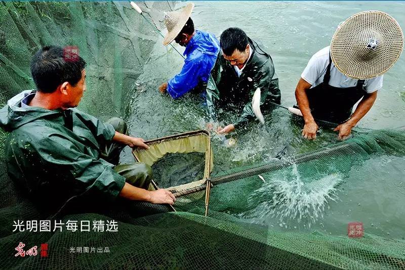 光明视频全集,光明动态图片