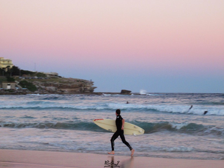 悉尼是啥味道,悉尼盐蚝