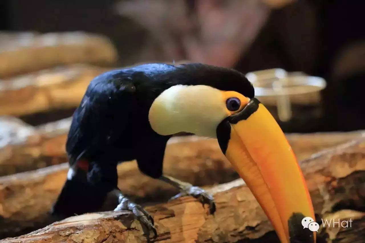 武汉天地壹方概况,武汉天地壹方值得去吗