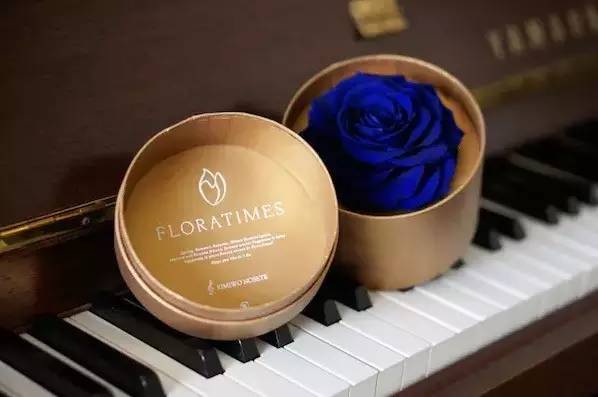 十二星座中最爱狮子座的星座,十二星座的狮子座最爱的是什么