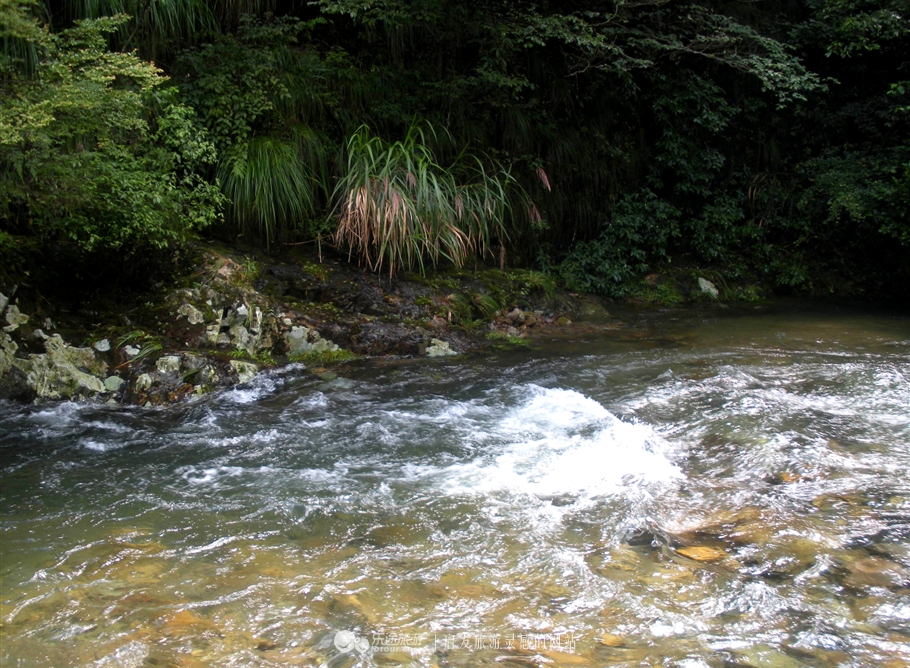 铜钹山风景区和九仙湖图片,铜钹山九仙湖可以钓鱼吗