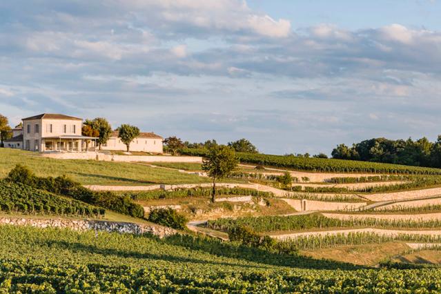杯酒人生酒庄,杯酒人生葡萄酒