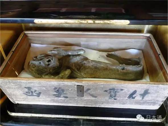 是真是假?日本传说中的河童天狗人鱼的木乃伊