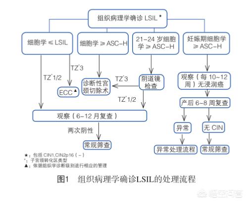 宫颈LSIL会不会转变成宫颈癌，为什么？