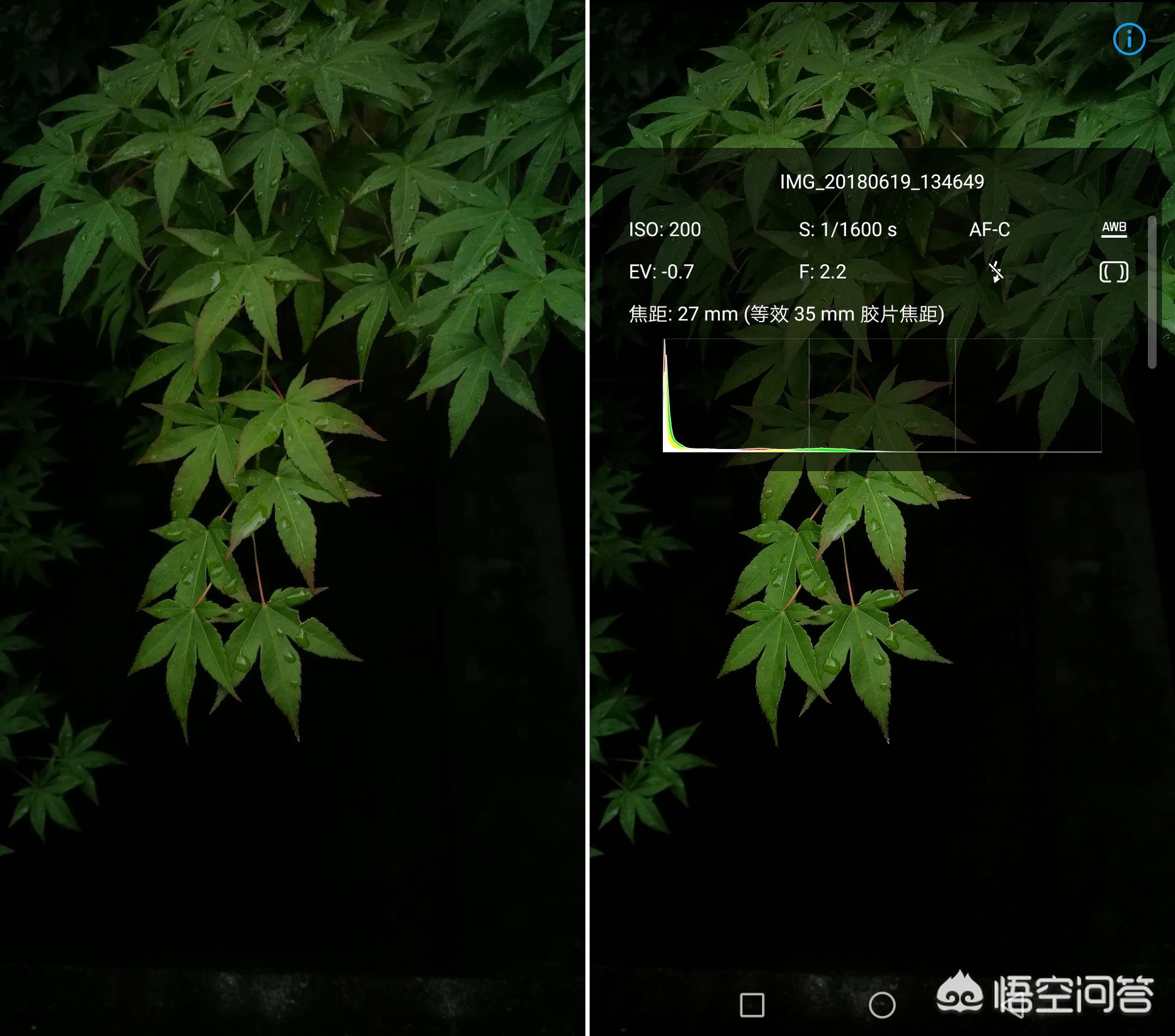 手机摄影快门速度与iso口诀表,相机光圈快门iso怎么设置