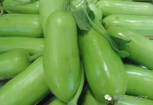 吃西瓜中毒辟谣,蒲瓜吃了会中毒吗