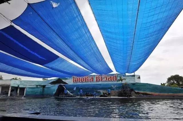 说吃就走的芭提雅南昌出发（最强攻略）亚航年中大促销