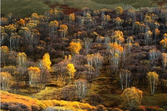 承德塞罕坝国家森林公园雾凇,承德塞罕坝公园