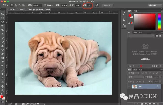 四种ps抠图完全攻略教程,ps2024一键抠图怎么抠干净