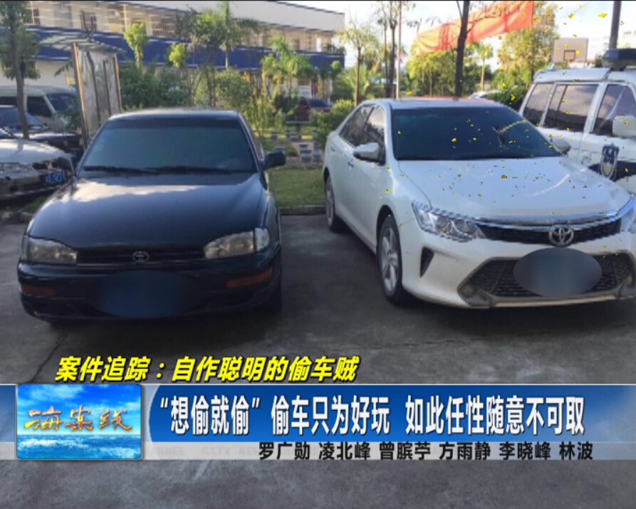 机智偷车,机智跟踪偷车贼