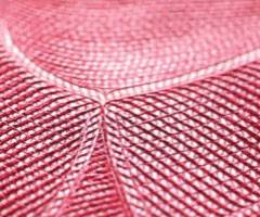 如何确定是真钱假钱,怎么鉴别假钱最有效