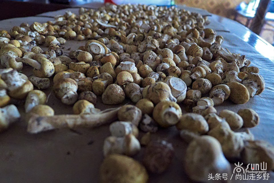 青海湖黑马河帐篷住宿多少钱,青海湖黑马住宿推荐