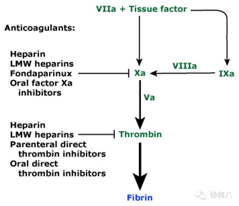 是救命仙丹,还是夺命惊魂丨一页手册·协和八