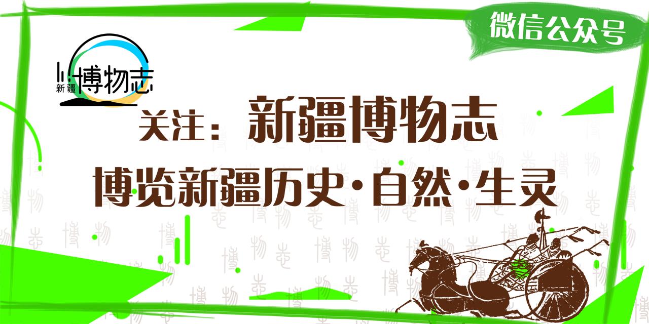 为什么奇怪的草莓是能吃的,草莓长得奇形怪状有没有营养