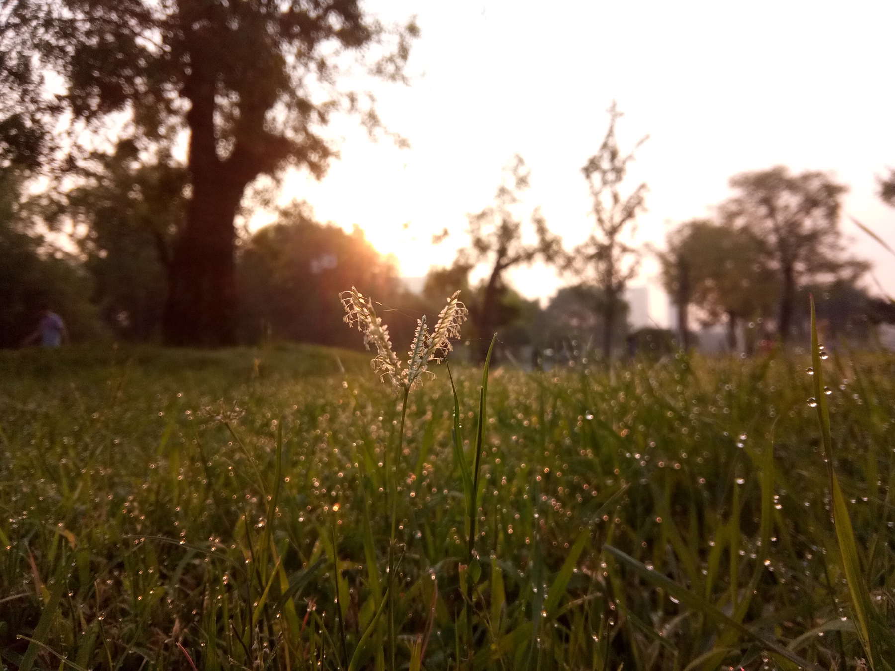 小品牌性价比电动车,酷比max5参数