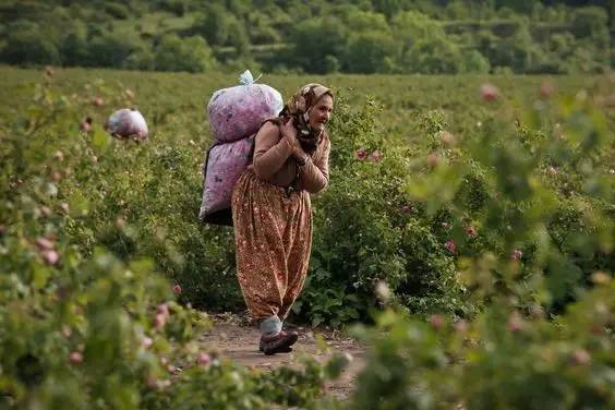 日韩化妆品清单推荐,日韩化妆品哪里便宜