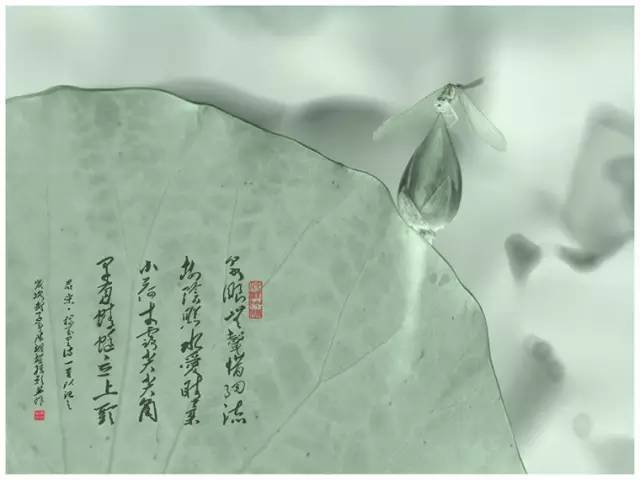 李白与杜甫的巅峰对决诗词,李白千年之狐vs世冠