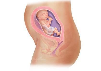 惊奇宝宝第一季,怀孕过程中的十大惊奇发现