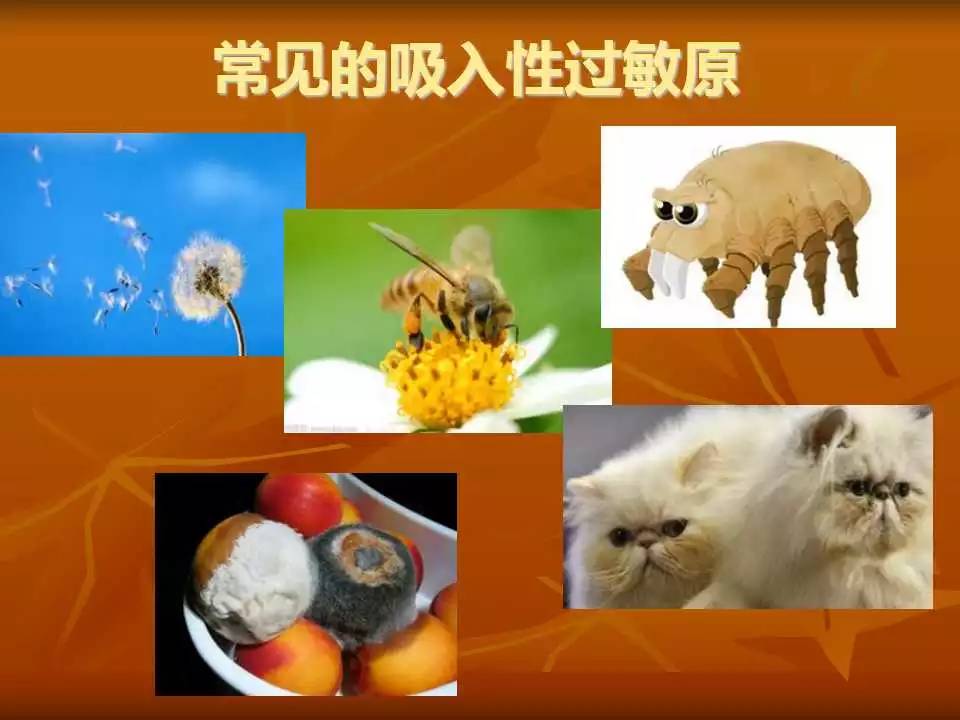 如何减少呼吸道疾病的发生,如何减少呼吸机的依赖性