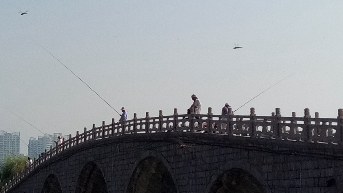 小品牌性价比电动车,酷比max5参数