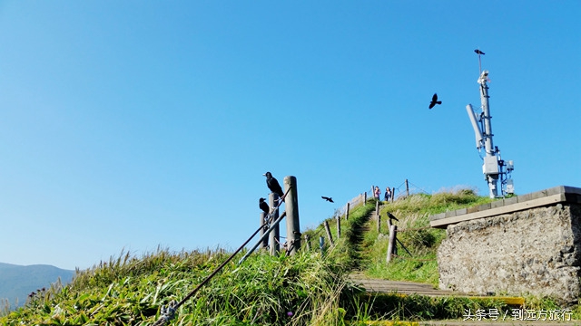 独自去济州岛攻略,独自一人去韩国旅游