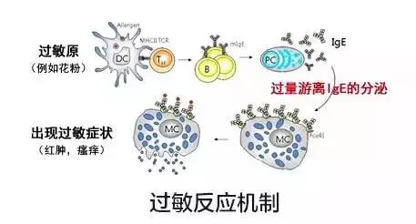 敷面膜脸发热怎么回事,敷完面膜脸红发热怎么快速解决