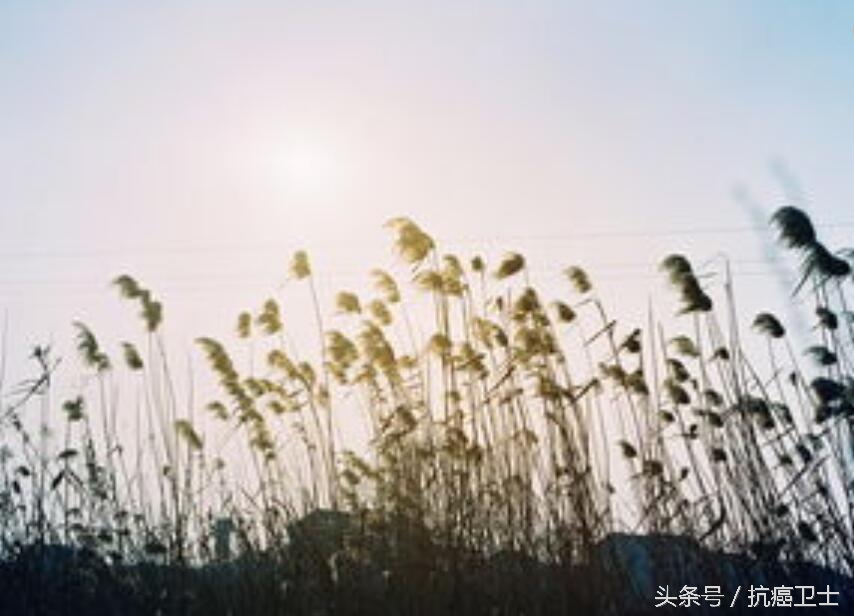 胃癌术后复发和转移有哪些症状,胃癌术后吻合口复发有什么症状