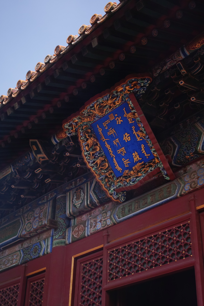 适马sdquattroh值不值得入手,适马sdquattroh配镜头