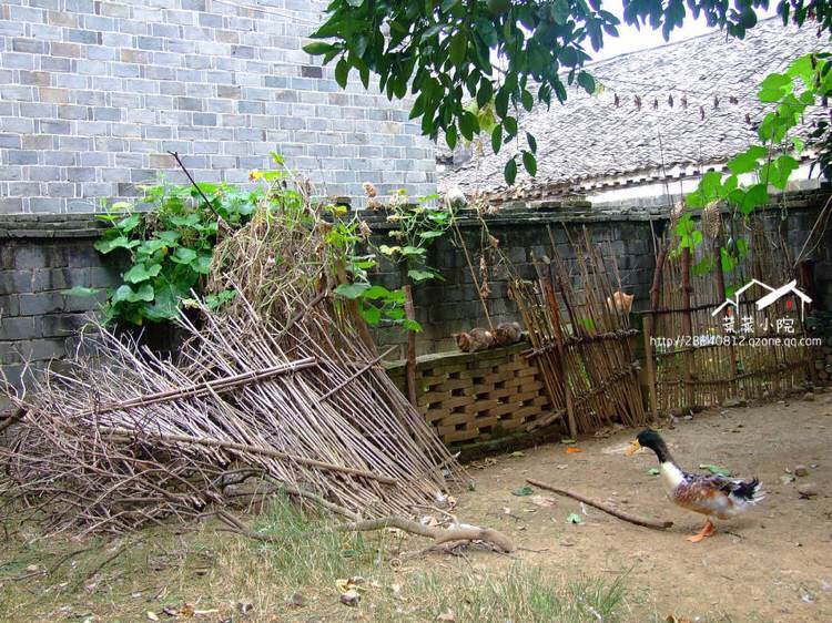 哪里适合隐居过田园生活,唯美的田园隐居生活