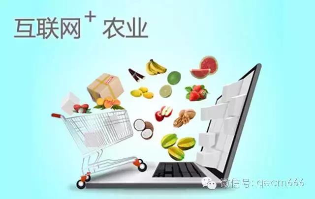 想搞个电商平台怎么搞,想搞电商怎么入门