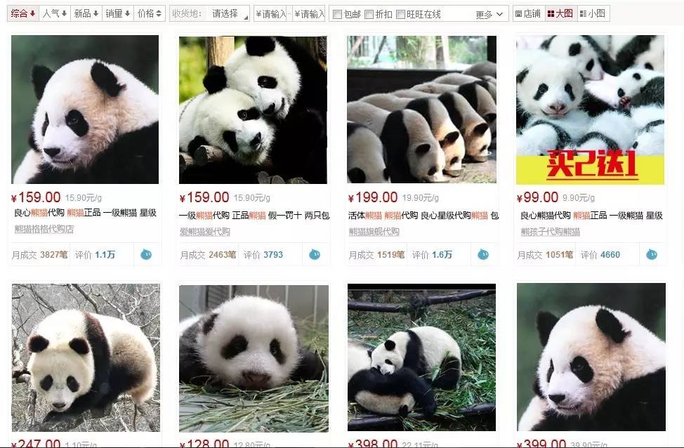 中国运动员在巴西被偷,奥组委这样补偿行不行?