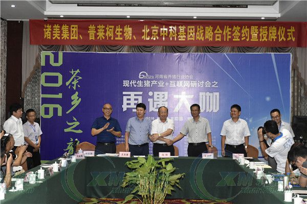 互联网如何加养猪？河南养猪协会喊这些大佬回答