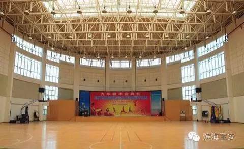 里约奥运冠军来香港,里约奥运会开幕式巴西运动员进场