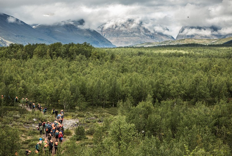 爽酷一夏，穿越北极
